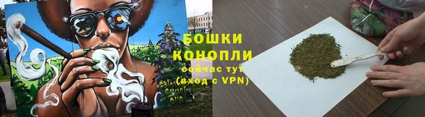 ГАЛЛЮЦИНОГЕННЫЕ ГРИБЫ Магадан
