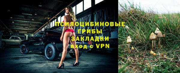 ГАЛЛЮЦИНОГЕННЫЕ ГРИБЫ Магадан