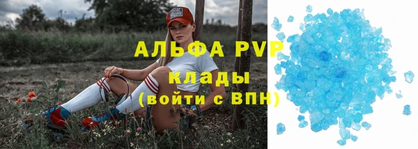 ГАЛЛЮЦИНОГЕННЫЕ ГРИБЫ Магадан