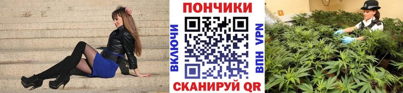 Шишки марихуана индика  закладка  Моздок 